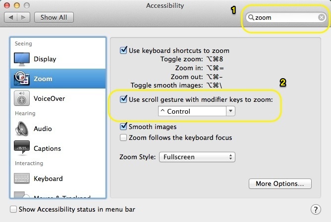 zoom in using magic mouse for mac